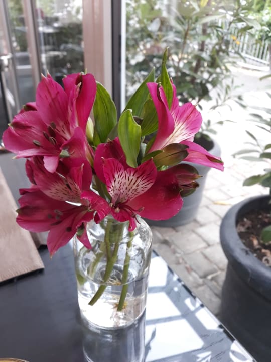 Sonstiges LIFESTYLE Resort Zum Kurfürsten