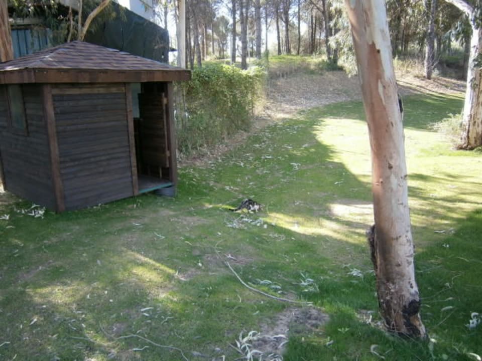 Katzenhaus Sueno Hotels Golf Belek