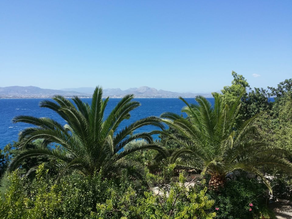 Z lobby Hotel Pappas