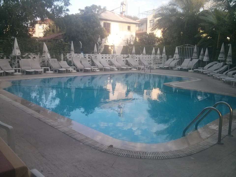 Pool mit Sonnenliegen Hotel Pinar
