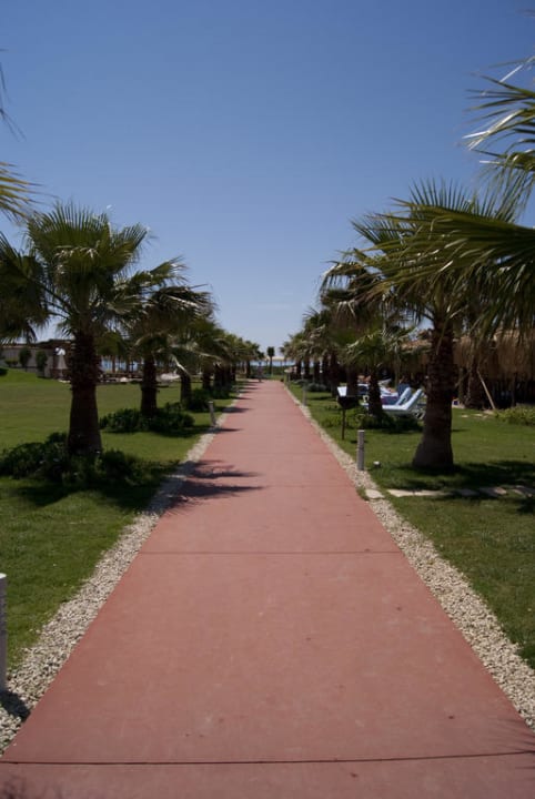 Der Weg zum Strand Saturn Palace Resort Hotel