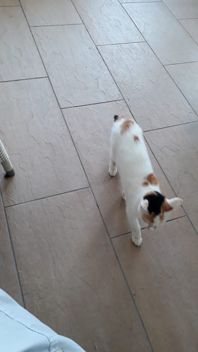 Sonstiges Olympian Bay Grand Resort