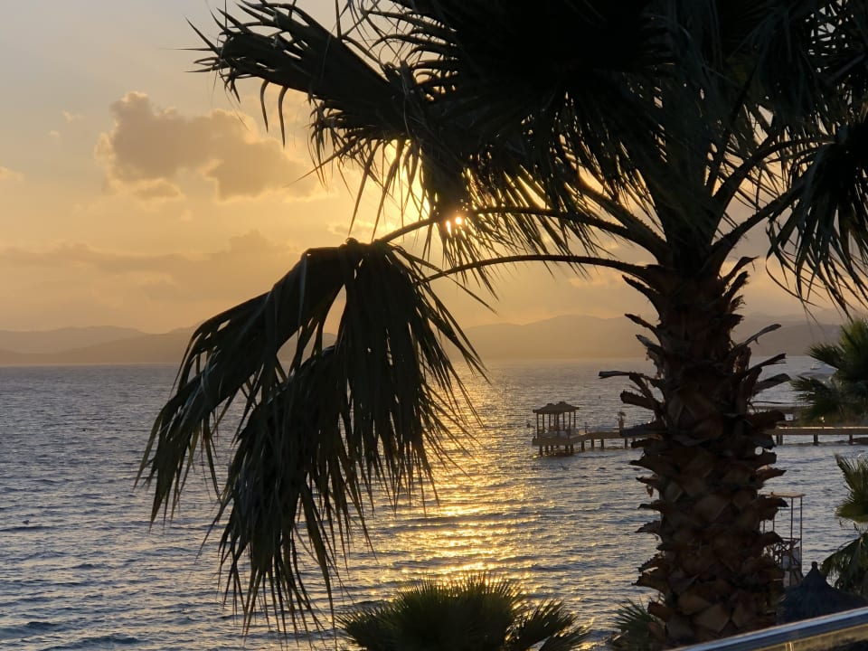 Strand TUI MAGIC LIFE Bodrum - Adult Only (16+)
