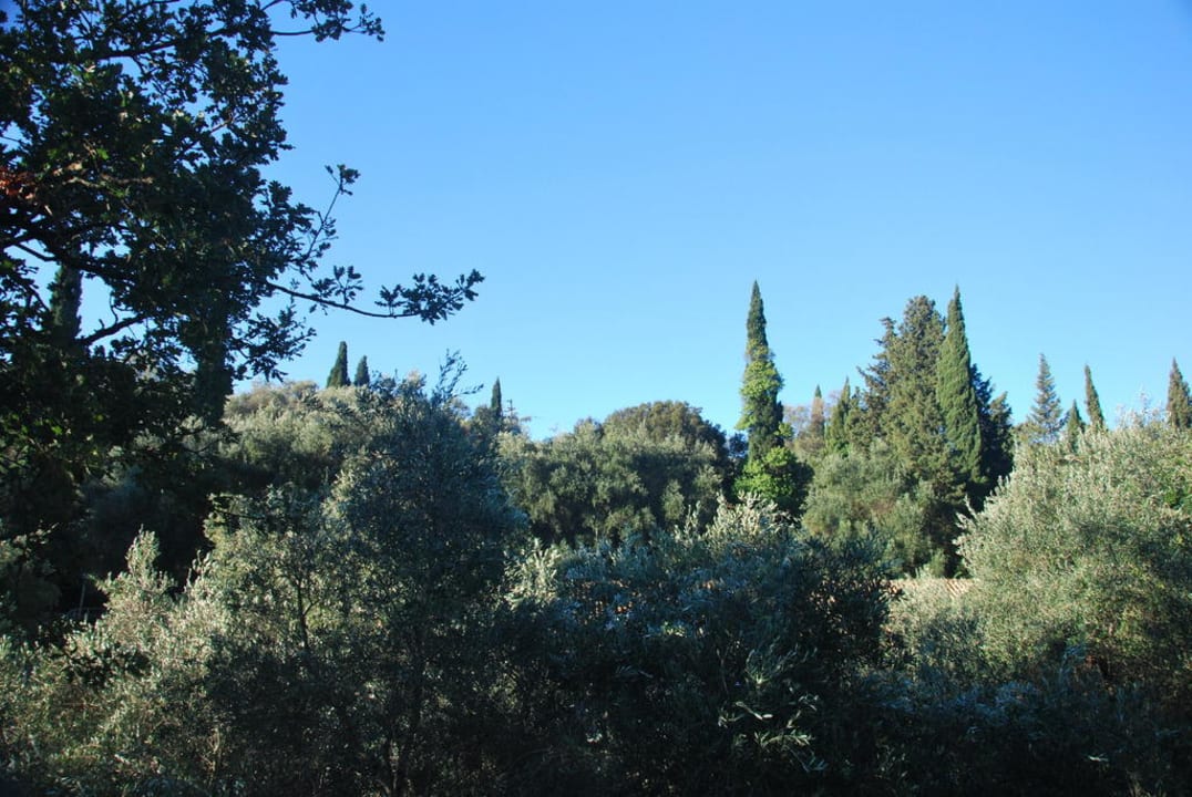 Innenhof von oben Hotel & Apartments Liapades Beach