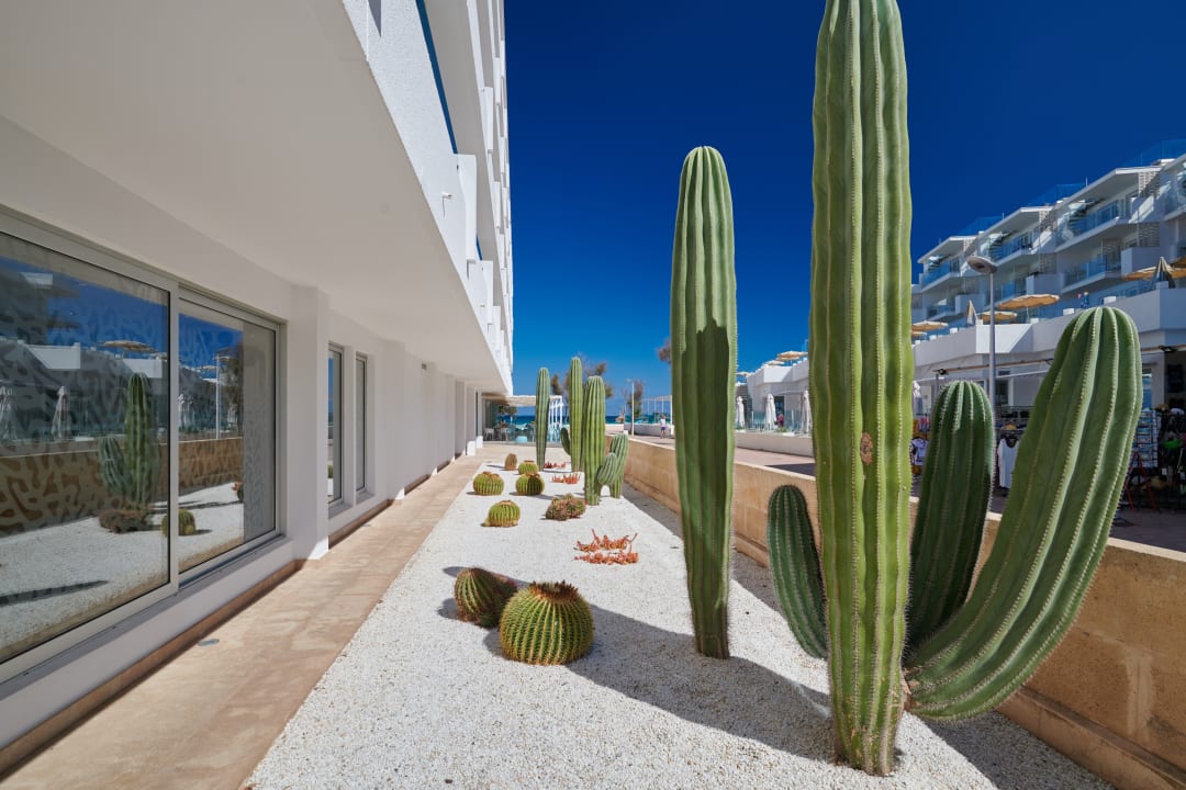 Sonstiges The Sea Hotel by Grupotel - Adults only