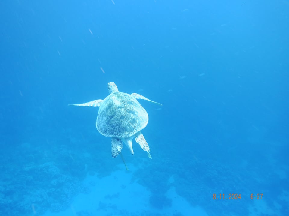 Strand Casa Mare Resort