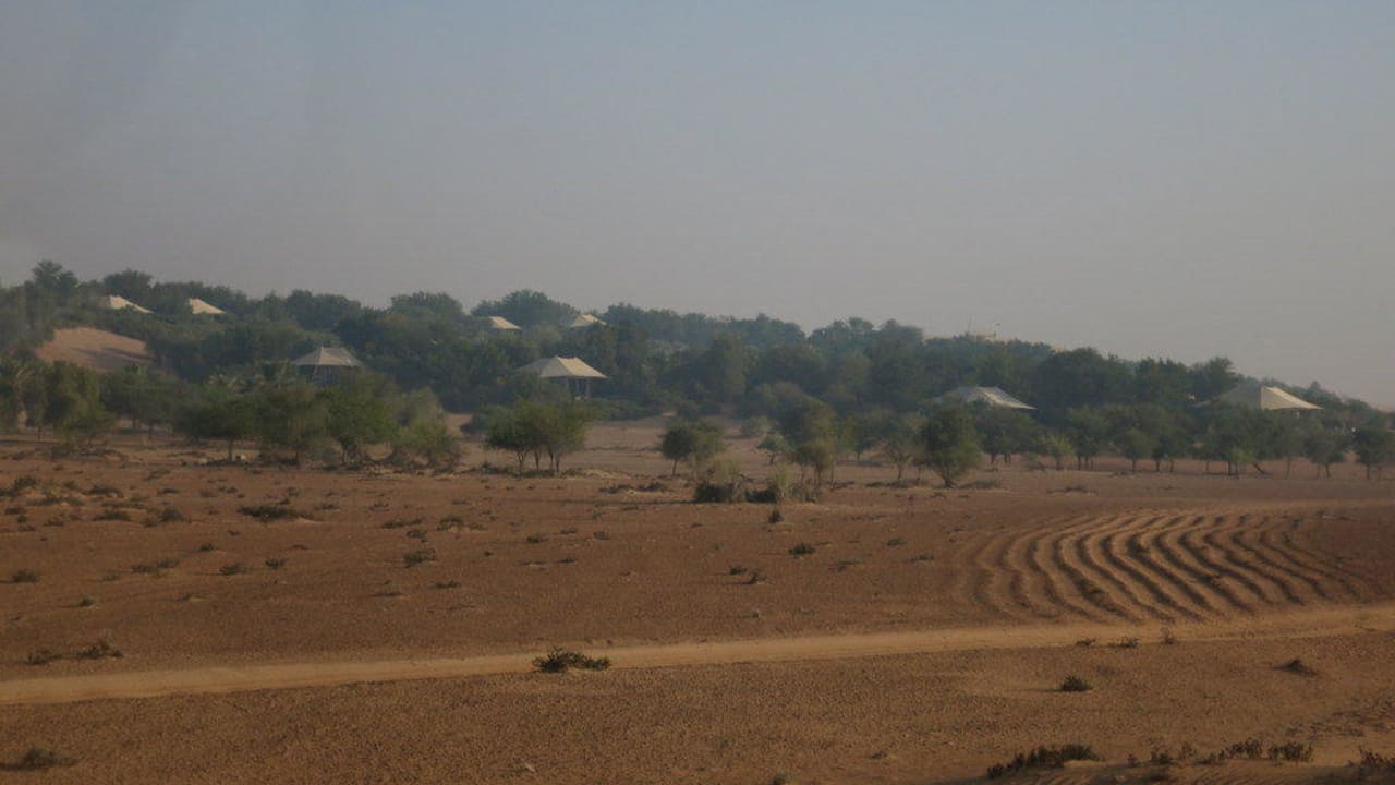 Blick von der Zugangsstraße Al Maha, A Luxury Collection Desert Resort & Spa