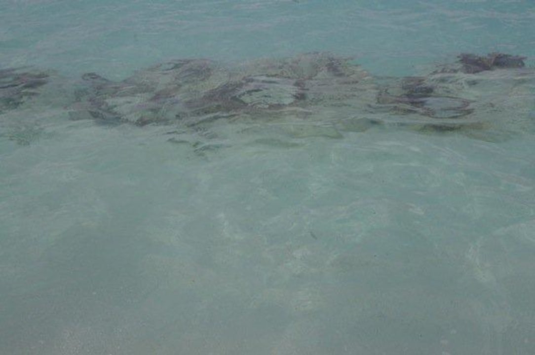 Sac de sable à l'entrée dans l'eau Coco Palm Dhuni Kolhu