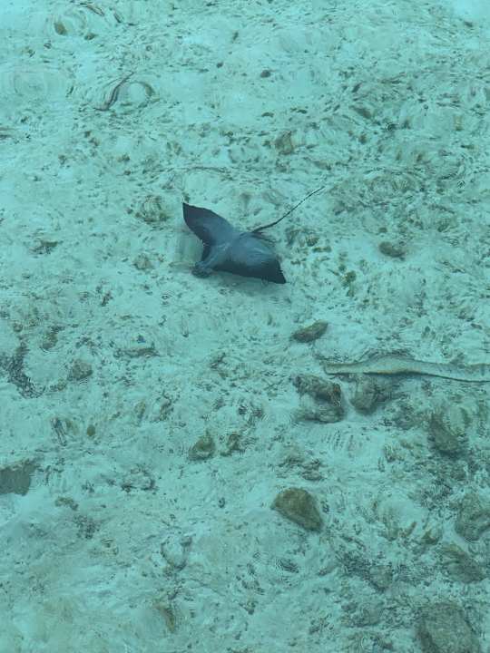 Sonstiges Safari Island Maldives