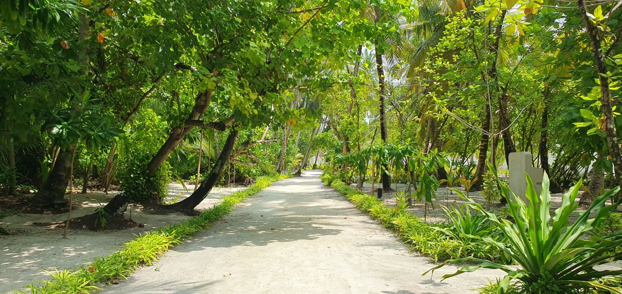 Gartenanlage Filitheyo Island Resort