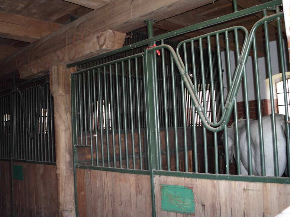 Ställe Pałac i Folwark Galiny