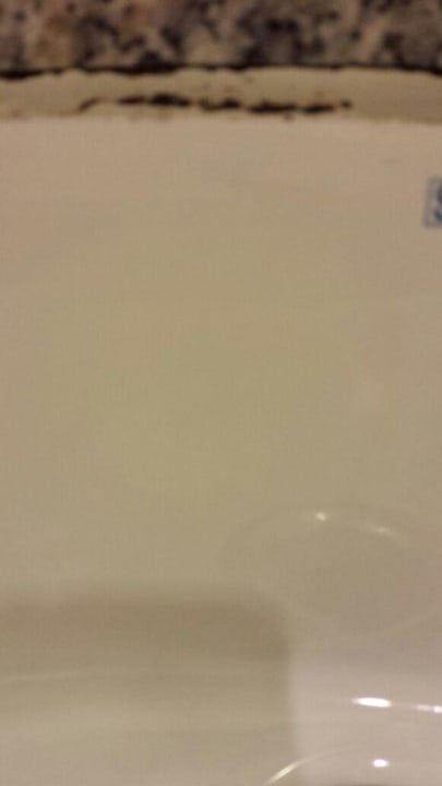 Schimmel im Waschbecken AQI Pegasos World