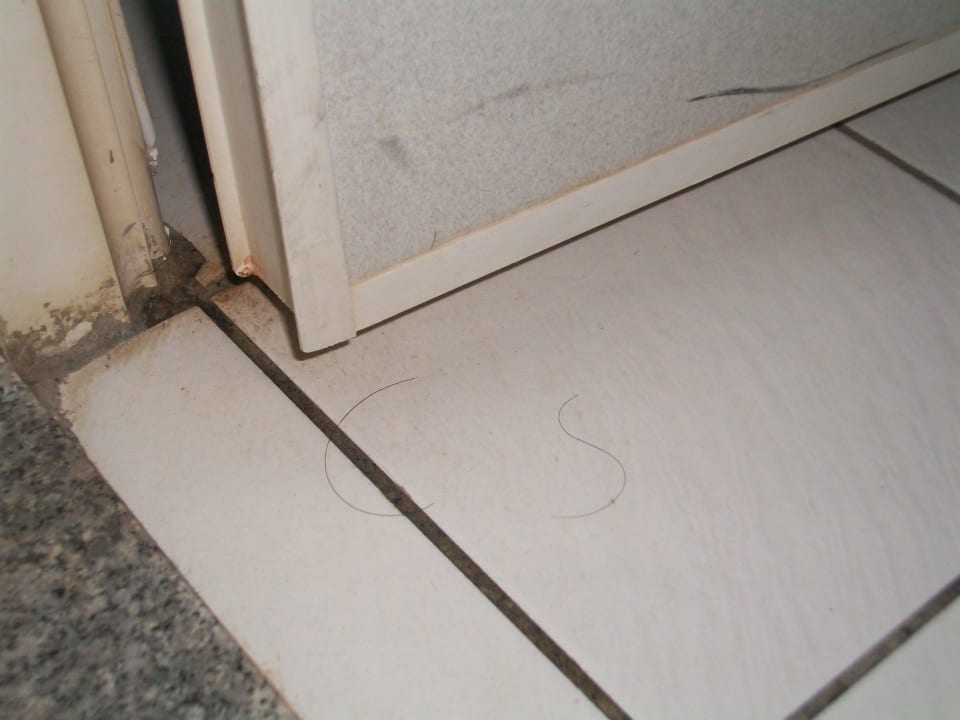 Bad Kevin Business Hotel