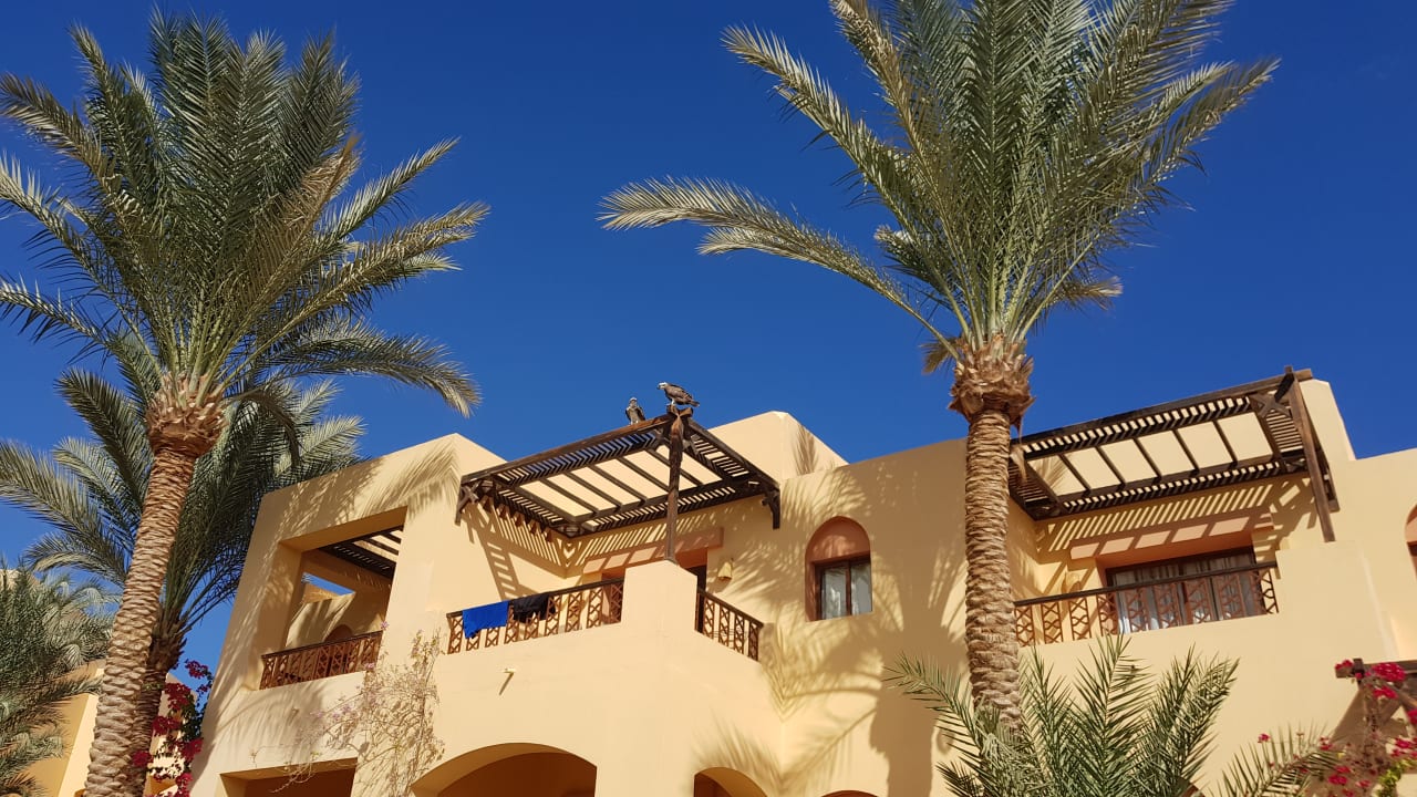 Außenansicht Steigenberger Coraya Beach - Adults only