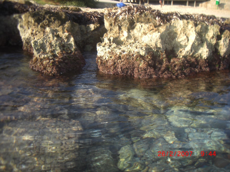 Klares Wasser Hotel Palia Sa Coma Playa