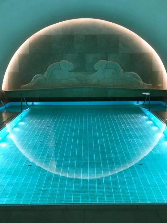 Pool Park Hyatt Vienna