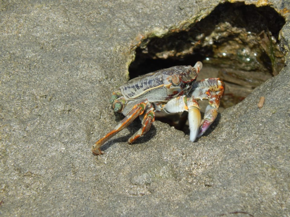 Strand Shams Alam Beach Resort