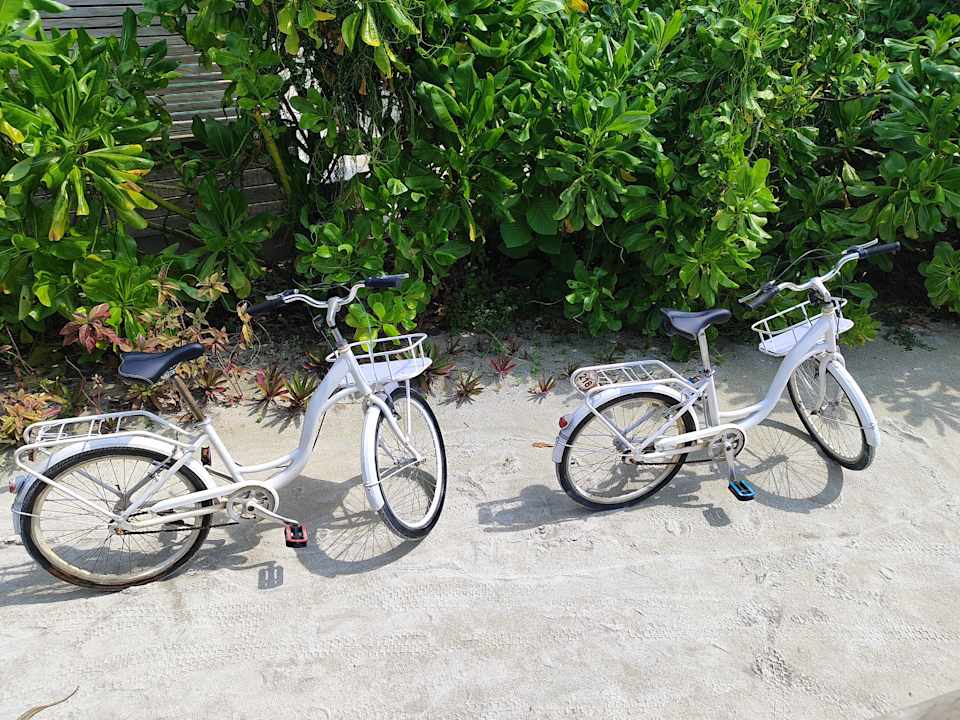 Gartenanlage Jawakara Islands Maldives