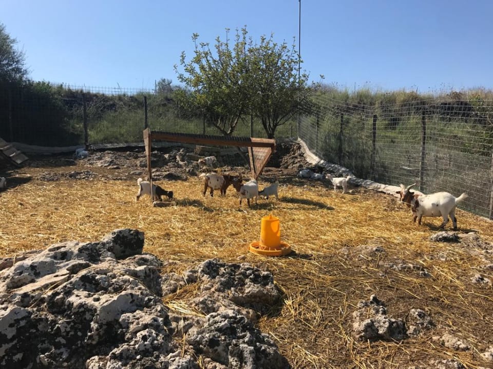 Sport & Freizeit Agriturismo Villa dei Papiri