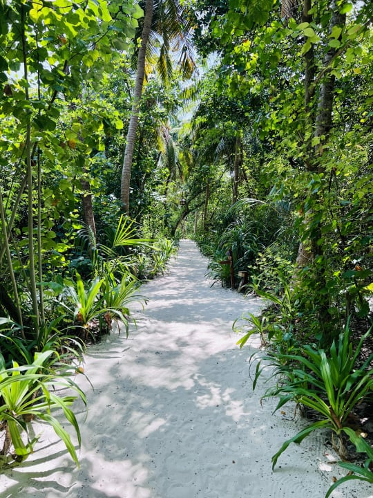 Gartenanlage NH Collection Maldives Reethi Resort