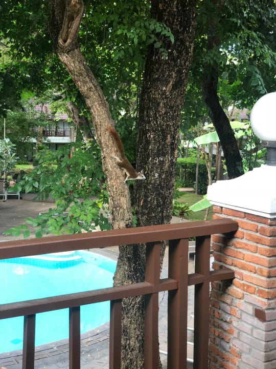 Gartenanlage Woodlands Hotel & Resort