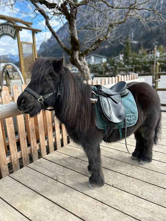 Gartenanlage POST Family Resort