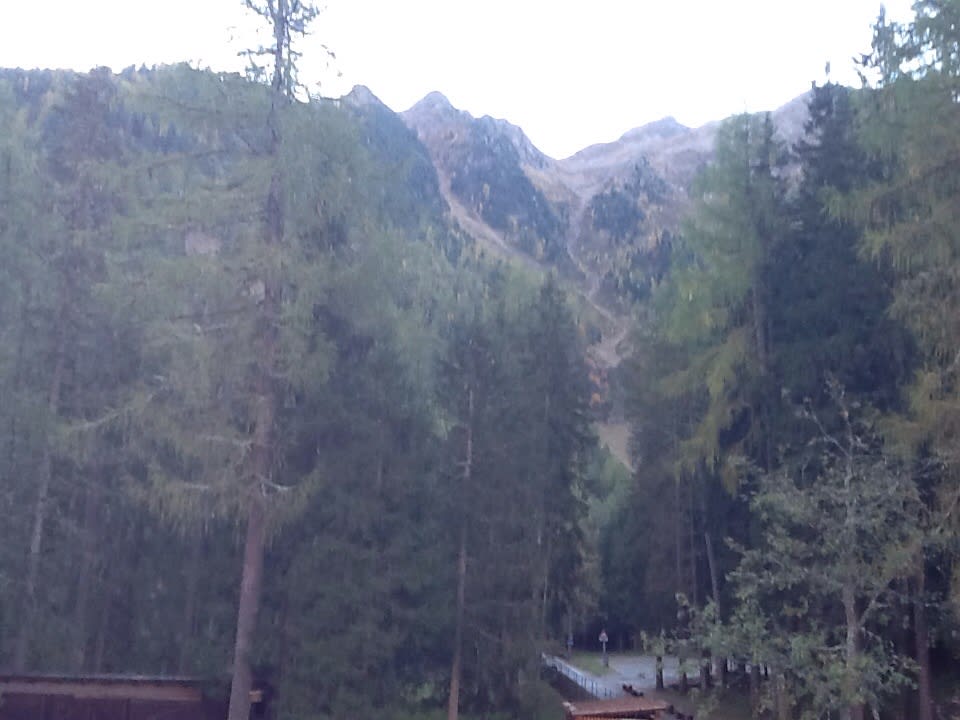 Ausblick Hotel Seehaus