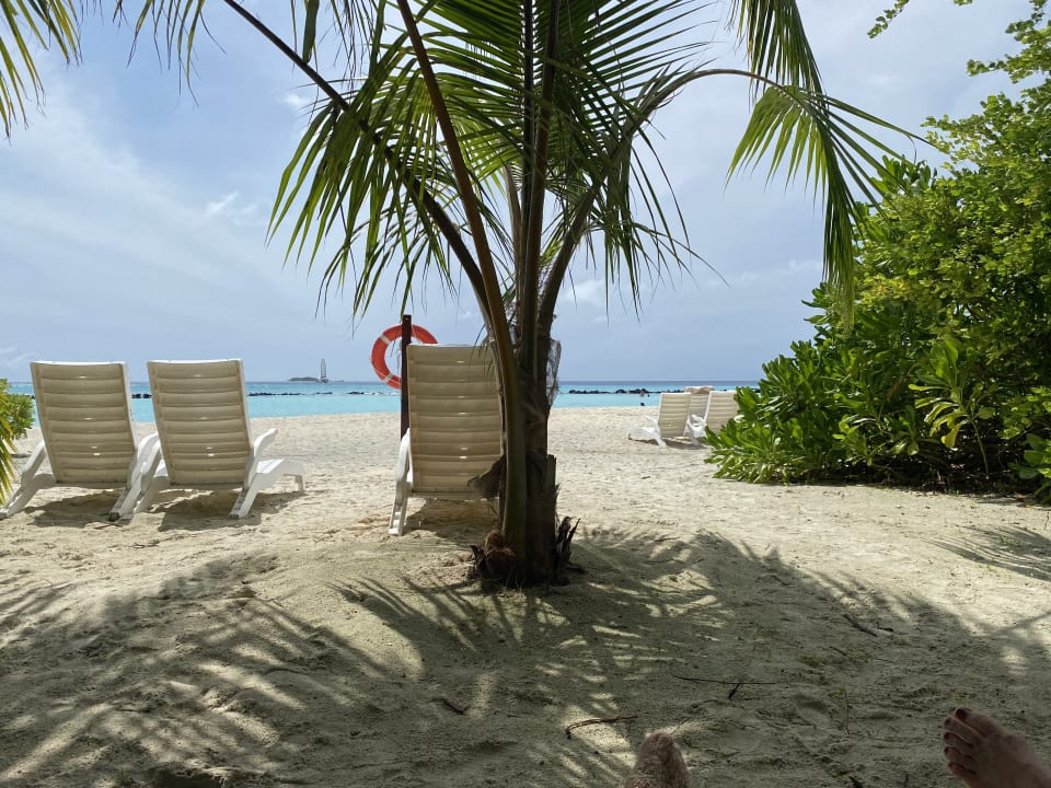 Ausblick Summer Island Maldives