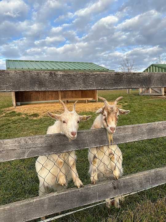 Gartenanlage Reiters Finest Family Hotel