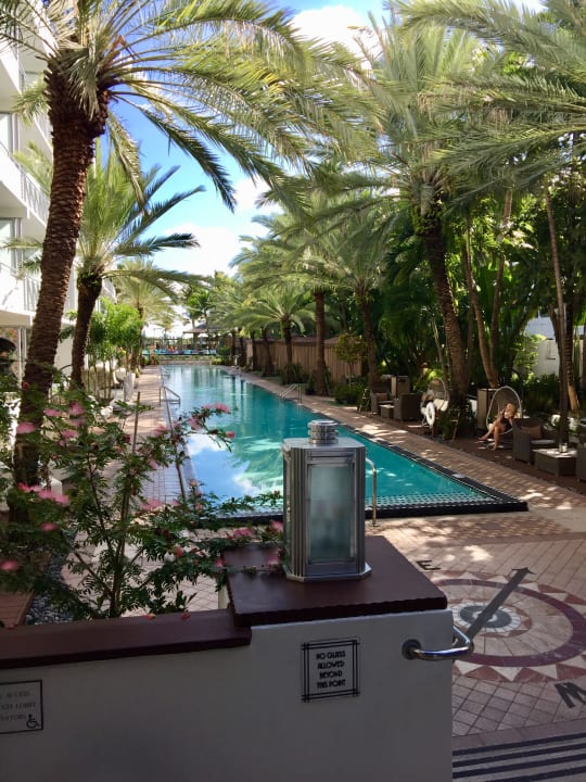 Pool Hotel The National