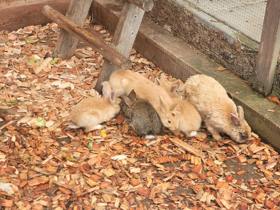 Gartenanlage Hotel Stadt Wien