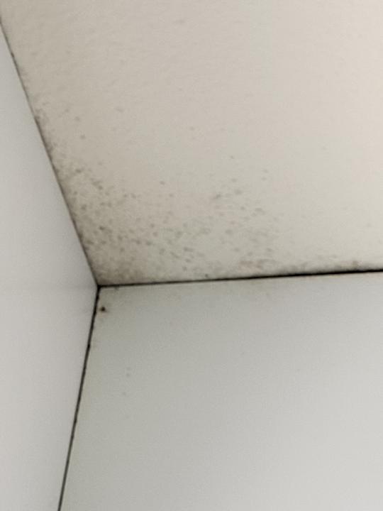 Zimmer Apartamentos LIVVO Morromar