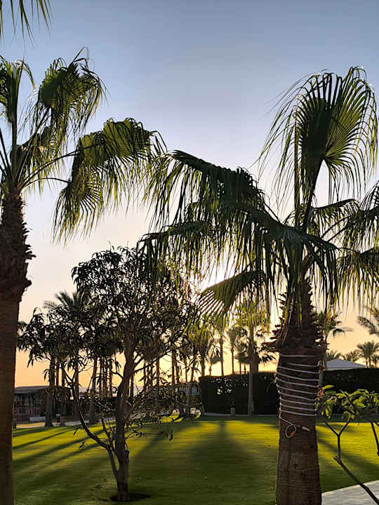 Gartenanlage Casa Mare Resort