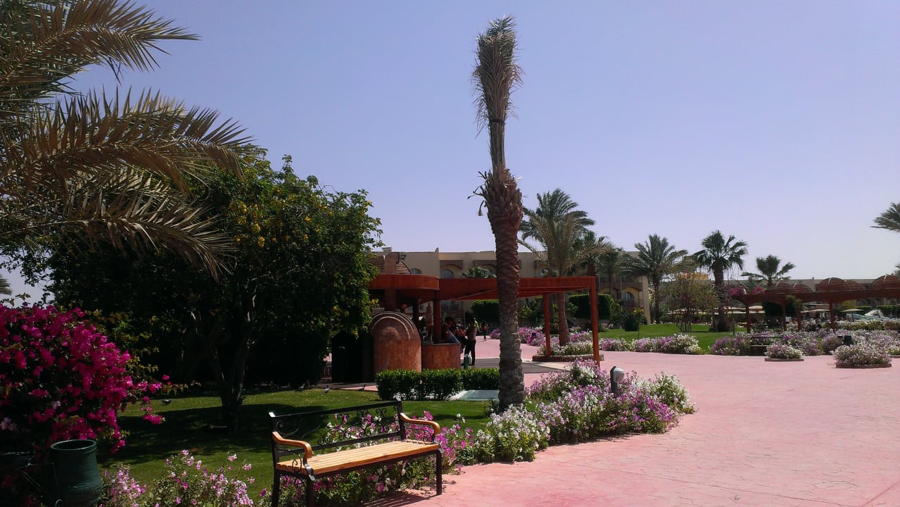 Gartenanlage Desert Rose