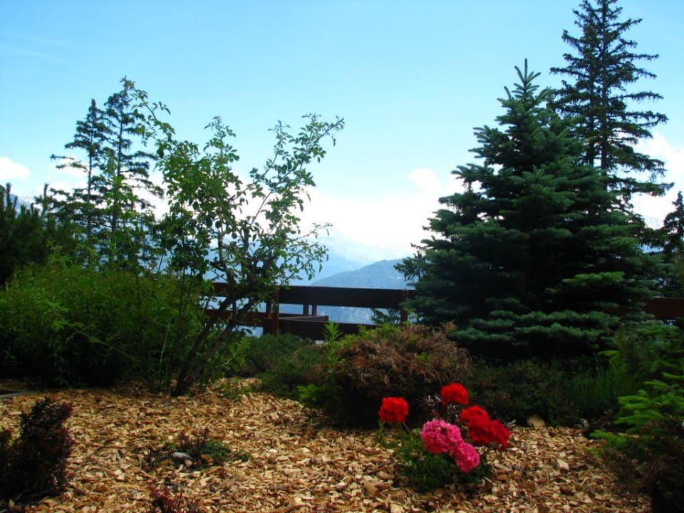 Room view Aparthotel Helvetia Intergolf