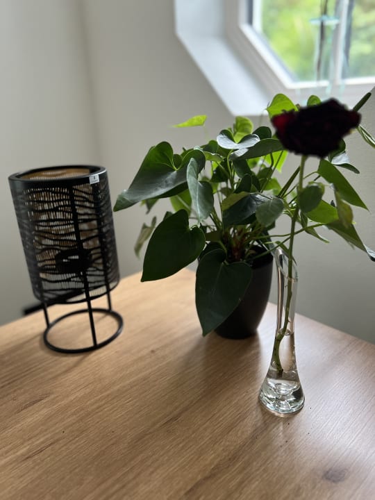 Sonstiges Villa Florentina