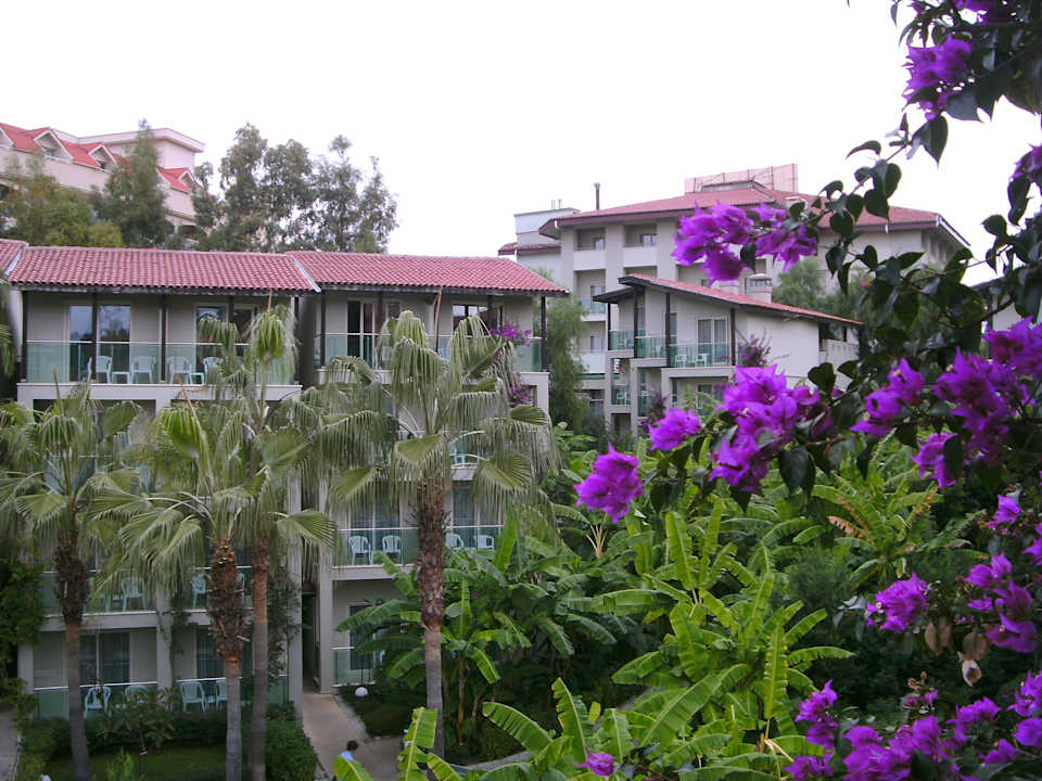 Blick vom Balkon Sealife Buket Resort & Beach