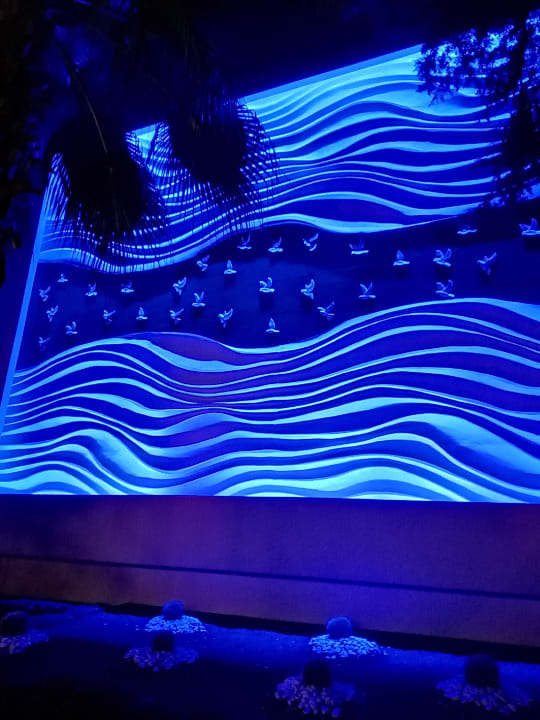 Pool Paloma Oceana