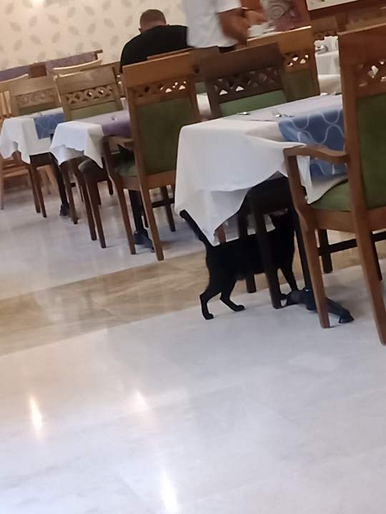 Gastro Calimera Serra Palace
