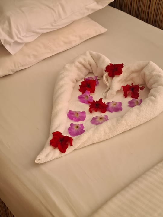 Zimmer Titanic Beach Spa & Aqua Park