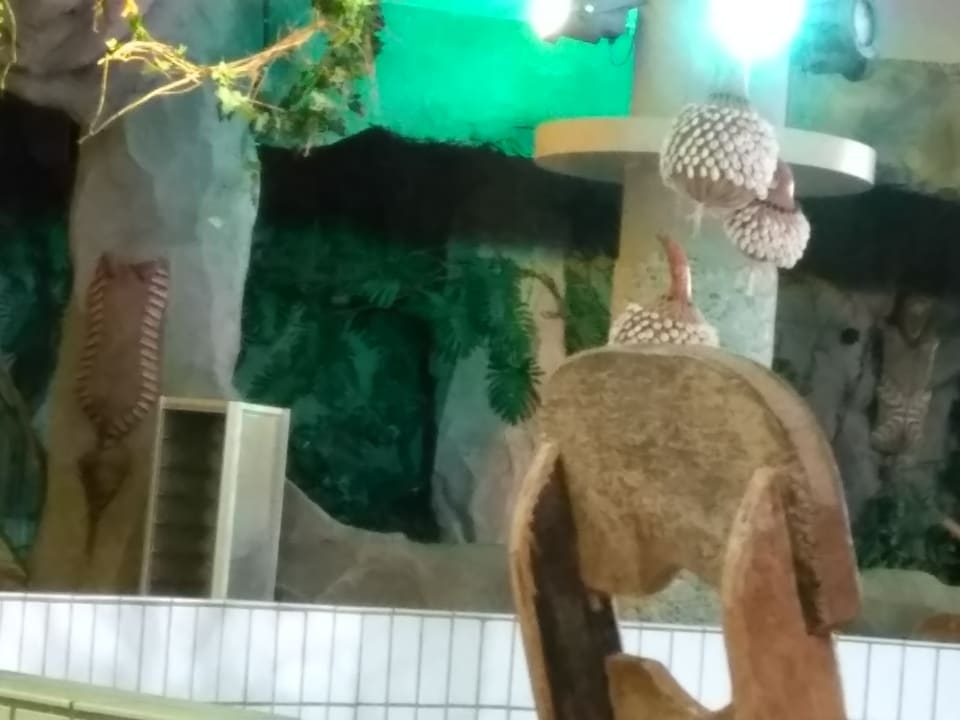 Pool Center Parcs Park Nordseeküste