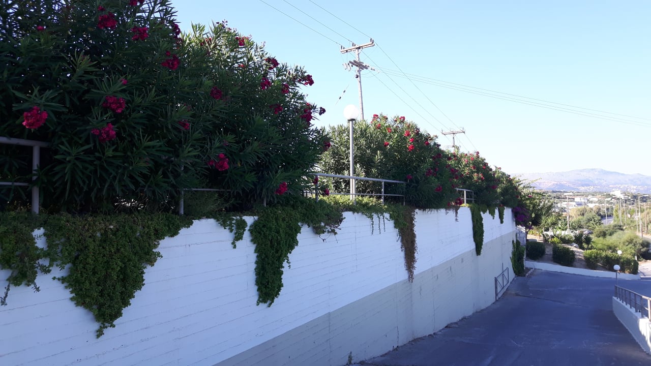 Sonstiges Scaleta Beach Hotel