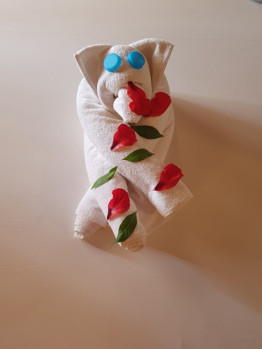 Zimmer Jaz Makadi Oasis Resort