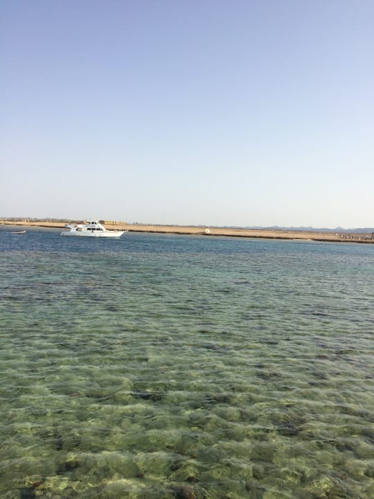 Strand Pickalbatros Palace Hotel-Port Ghalib