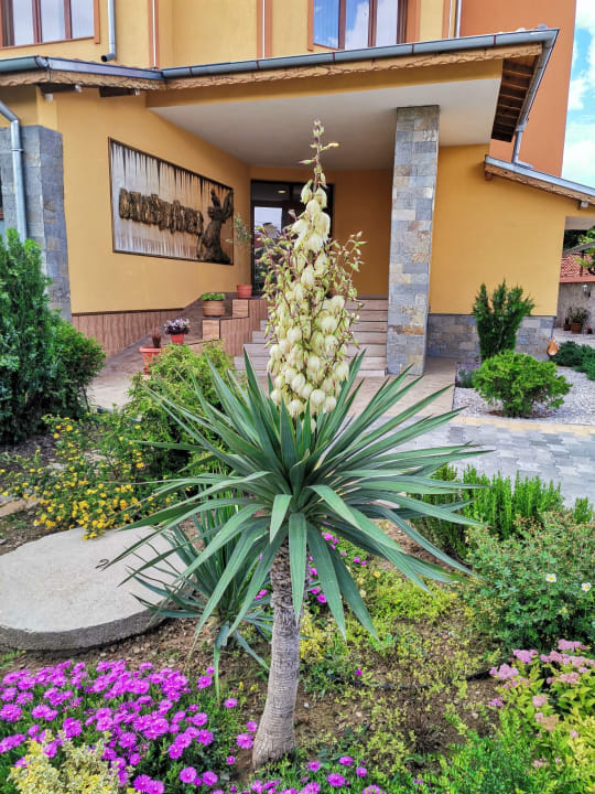 Außenansicht Hotel Alexander