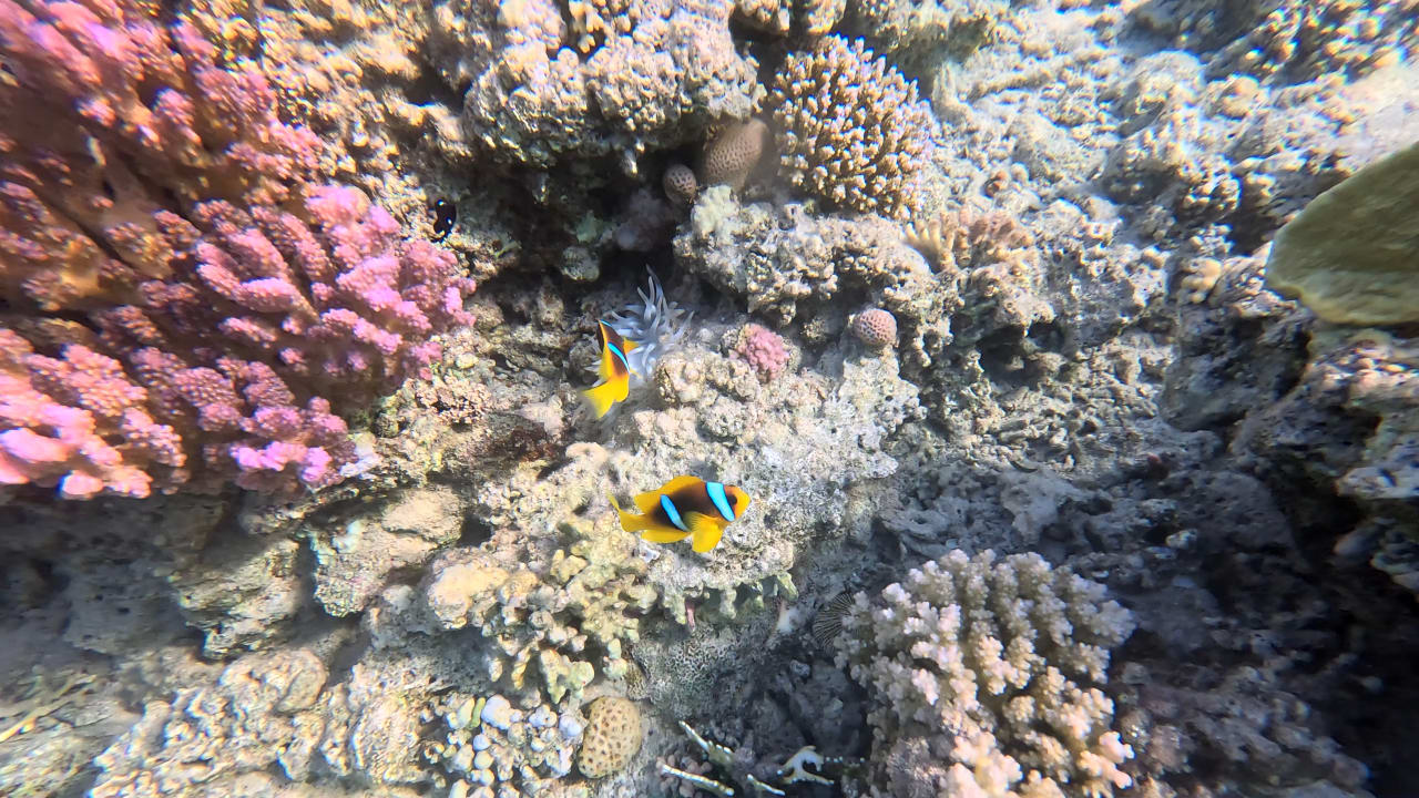 Strand Makadi Spa - Adults only