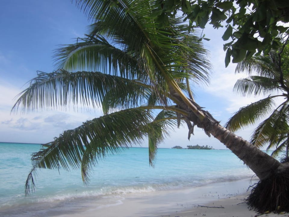 Zum Träumen schön Villa Park Sun Island