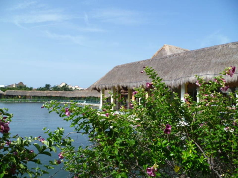 Gartenanlage Grand Palladium Select White Sand Resort & Spa