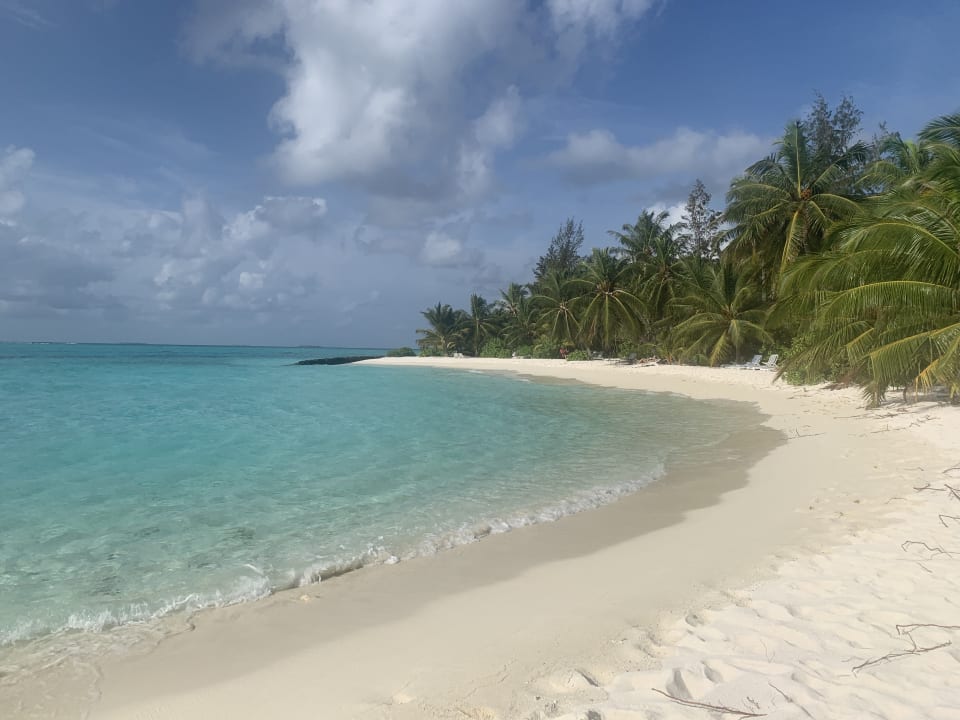 Strand Summer Island Maldives