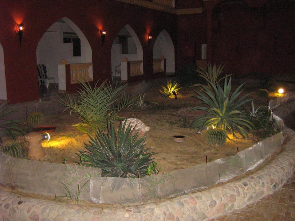 Kaktusgarten Pickalbatros Alf Leila Wa Leila Resort - Neverland Hurghada